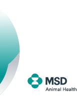 MSD Animal Health Korea
