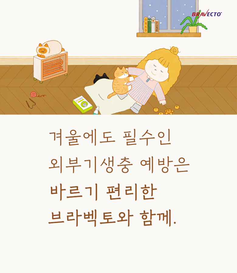 고양이와 함께 자는 소녀