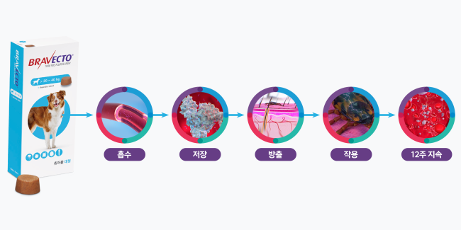 브라벡토 츄어블 제품 사진과 플루랄라너 작용 인포그래픽