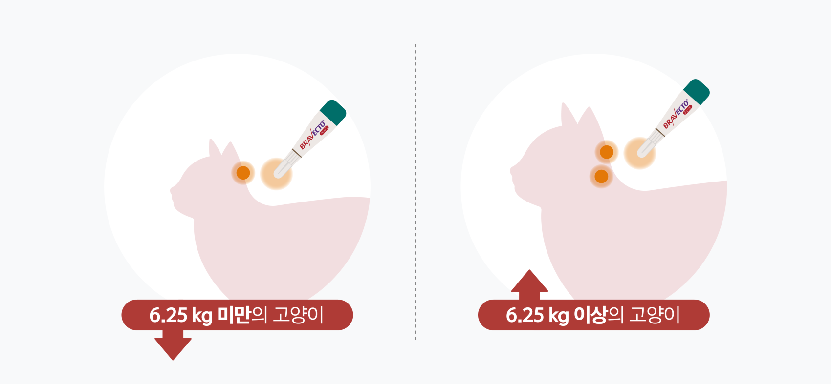 브라벡토 플러스캣 제품 정보와 도포 위치 안내 이미지
