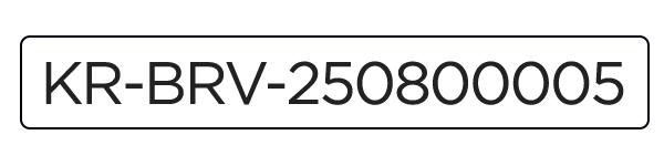 KR-BRV-250800005