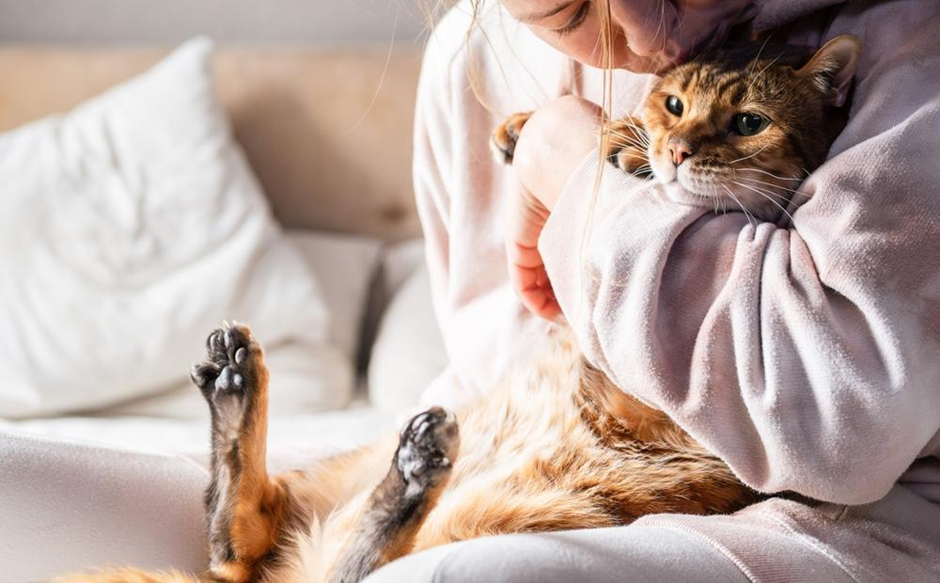 고양이와 보호자