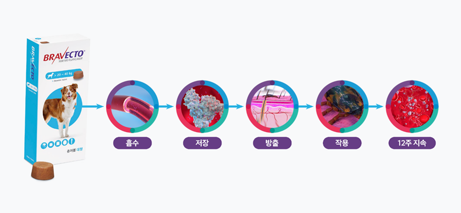 브라벡토 츄어블 제품 사진과 플루랄라너 작용 인포그래픽