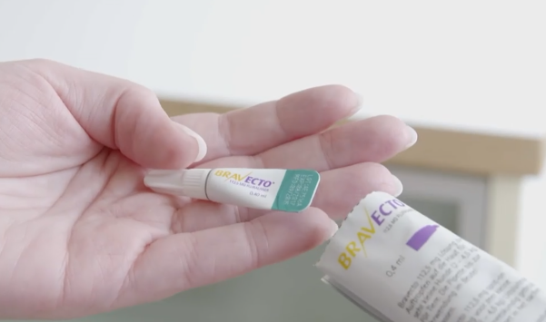 고양이 설사 원인인 기생충을 예방하는 브라벡토 플러스캣 제품 이미지